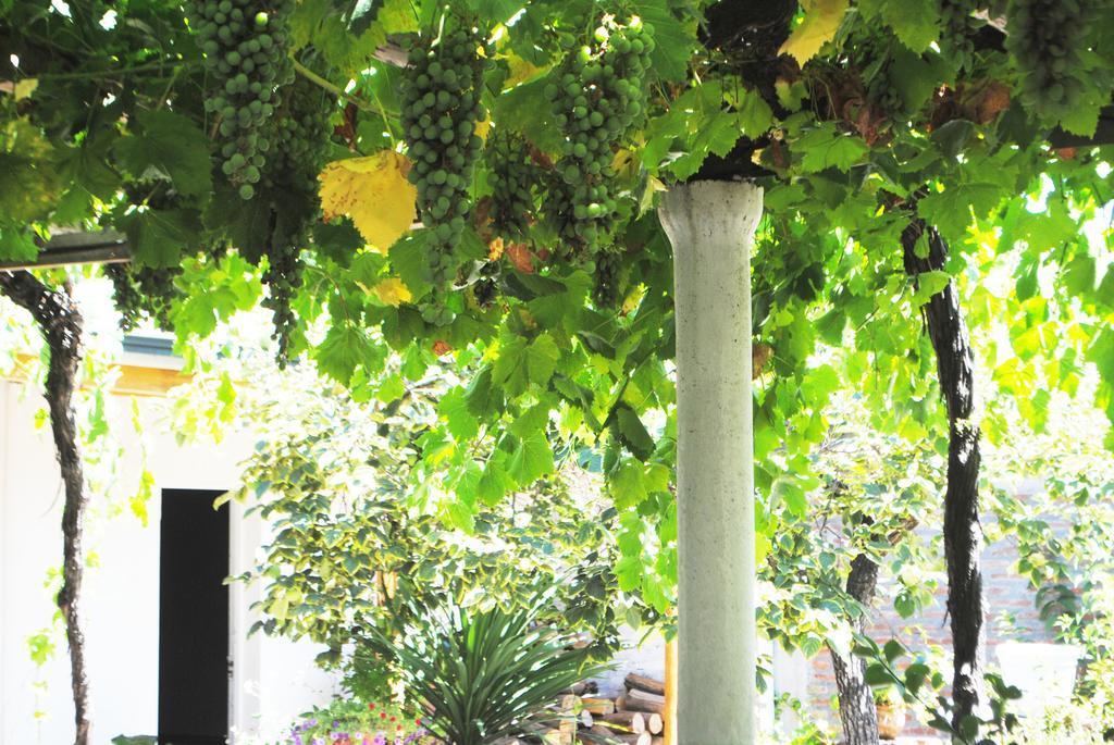 Hostal Petit Verdot Santa Cruz Exterior foto